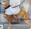 Society Hound Collection Barbie & Greyhound Doll Limited Ed. 2000 Mattel 29057