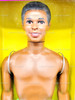 Barbie Sparkle Beach Steven Doll 1995 Mattel 14353