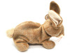 Ty Beanie Babies Nibbly the Rabbit 1999