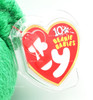Ty Beanie Babies Dublin the Bear St. Patricks Day Plush 2002