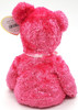 Ty Beanie Babies Sherbet the Bear Hot Pink Plush 2003