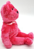 Ty Beanie Babies Sherbet the Bear Hot Pink Plush 2003