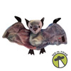 Ty Beanie Babies Batty the Bat Tie-Dye Plush 1998