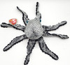 Ty Beanie Babies Opie the Octopus with Blue Eyes Plush 2004