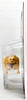Transformers Beast Wars Heroic Maximal Cheetor Deluxe Action Figure 1999 Hasbro
