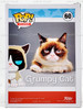 Funko POP Icons Grumpy Cat Flocked 60 Vinyl Figure