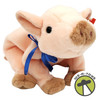 Ty Beanie Babies Knuckles the Pig Plush 1999