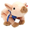 Ty Beanie Babies Knuckles the Pig Plush 1999