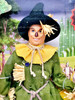 Barbie The Wizard of Oz Scarecrow Ken Doll 2008 Mattel N6564
