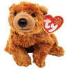 Ty Beanie Babies Sequoia the Bear Plush 2001