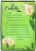 Barbie The Calla Lily Doll 3rd in Series 2001 Mattel 29912