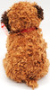 Ty Beanie Babies Tunnels the Dog Brown Plush 2004