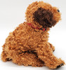 Ty Beanie Babies Tunnels the Dog Brown Plush 2004