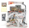 Department 56 Halloween Trick-or-Treat Lane the Black Cat Flat Box Set Lighted