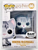 Funko POP Harry Potter Minerva McGonagall as Cat 66 Vinyl Figure