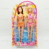 Barbie Beachin' It With My BFF Barbie & Teresa Doll Set in Tote Bag 2010 Mattel