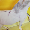 Breyer Equus Arabian Race Horse Figure 1990 Reeves Item No. 983