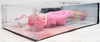 Grease 30 Years Frenchy Pink Hair Barbie Doll with Musical Stand 2007 Mattel NEW