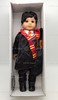 American Girl Truly Me Boy Doll With Harry Potter Outfit and Glasses #75
