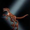 Jurassic World Hammond Collection Velociraptor Tiger Articulated Figure JDJ09