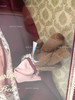 Victorian Barbie With Cedric Bear Barbie Doll Collector Ed. Brunette 1999 Mattel