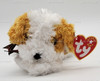 TY Beanie Babies Darling the Dog 2000