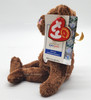 Ty Beanie Babies Champion the Bear - USA 044085