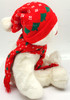 Ty Beanie Buddy Snowboy the Snowman Christmas Plush