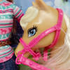 Barbie and Tawny Horse Playset with Accessories 2013 Mattel BJF78 NEW