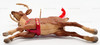 Hallmark Keepsake Ornament Twas the Night Before Christmas Tiny Reindeer