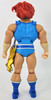 ThunderCats Lion-O Action Figure ULTIMATES! 2020 Super7 USED
