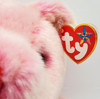 Ty Buddy Romance the Bear Valentine's Day Plush