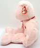 Ty Buddy Sweetest the Bear Valentine's Day Plush Internet Exclusive