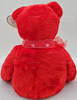 Ty Buddy Secret the Bear Valentine's Day Plush Internet Exclusive