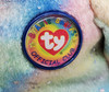Ty Beanie Babies Clubby VI the Bear Plush Rainbow Version