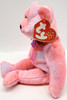 Ty Beanie Babies Clubby the Bear 5th Anniversary Edition Plush BBOC