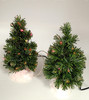 Department 56 Frosty Light Trees Fiber Optic Set of 2 Village Accessories