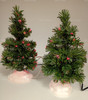 Department 56 Frosty Light Trees Fiber Optic Set of 2 Village Accessories