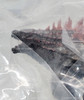 Godzilla X Kong The New Empire Godzilla Evolved Figure Hiya Toys 20432