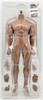 Super Flexible Male Seamless Body Suntan 1:6 Scale Figure Phicen Limited