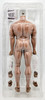 Super Flexible Male Seamless Body Suntan 1:6 Scale Figure Phicen Limited