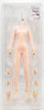 Super Flexible Female Seamless Body Small Bust Pale Figure 1:6 Scale