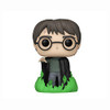 Funko POP Harry Potter Harry Potter with GITD Floo Powder 153 Vinyl Figure