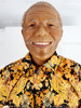 The Nelson Mandela Tribute Doll The Danbury Mint