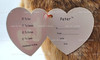 Ty Classic Peter the Brown Rabbit 12 Inch Plush