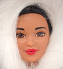 Arctic Barbie Doll Dolls of the World Collector Edition 1996 Mattel #16495