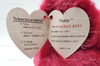Ty Beanie Buddies Teddy the New Faced Cranberry Bear Plush 1995