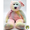 Ty Beanie Buddies Groovy the Bear Plush 2000