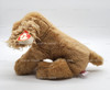 Ty Beanie Classics Corky the Cocker Spaniel Plush