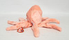 Ty Beanie Buddies Inky the Octopus Plush 2003